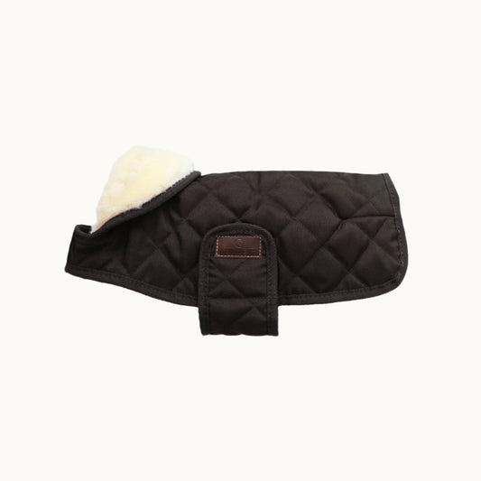 Dog Coat Original Kentucky