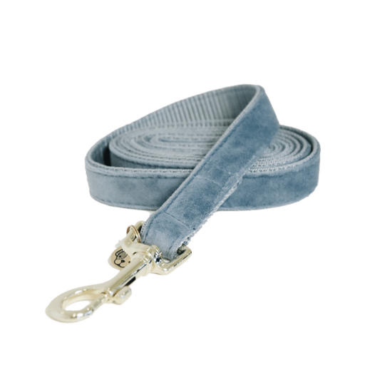 Dog Lead Velvet Kentucky