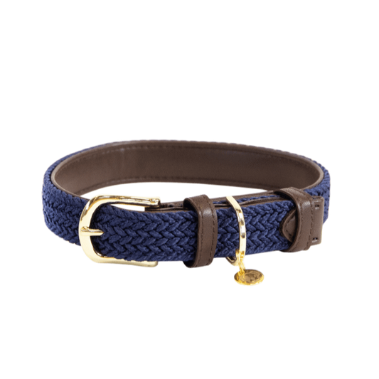 Plaited Nylon Dog Collar Kentucky