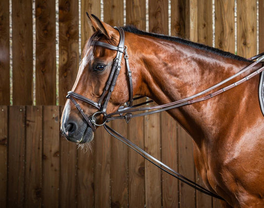 Hunter Draw Reins 1/2 Dyon