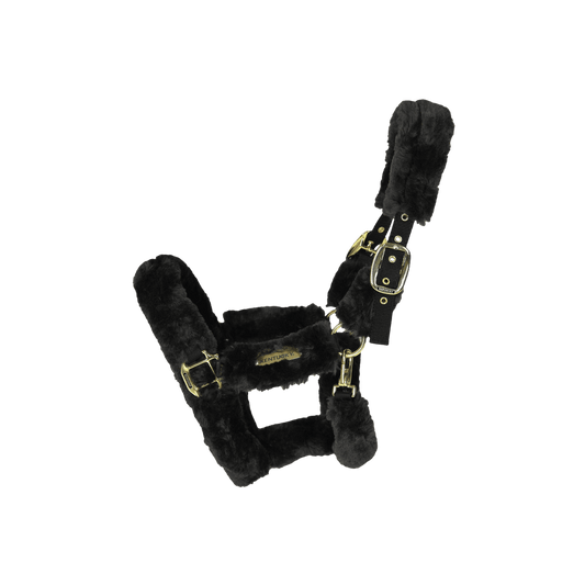 Sheepskin Shipping Halter Kentucky