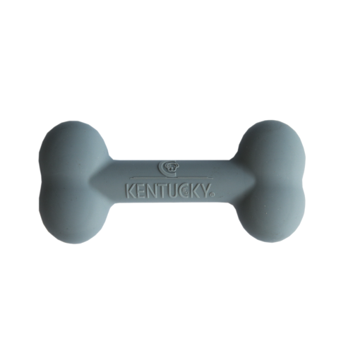 Dog Toy Silicon Bone Kentucky