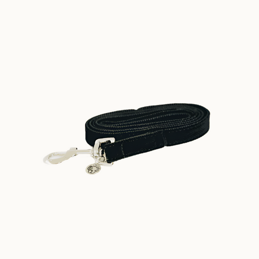Dog Lead Corduroy Kentucky