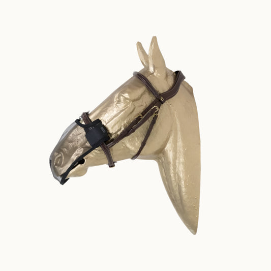 Anti Fly Nose Net Kentucky