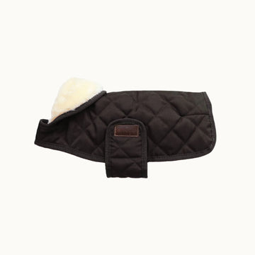 Dog Coat Original Kentucky