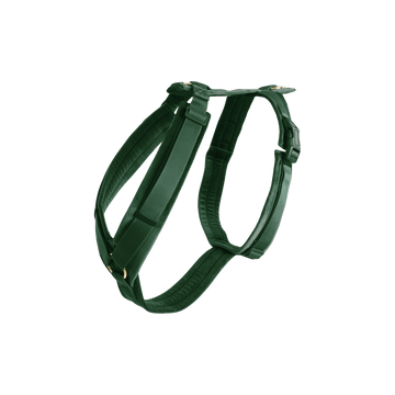 Dog Harness Active Velvet Kentucky