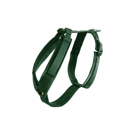 Dog Harness Active Velvet Kentucky