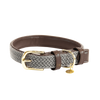 Plaited Nylon Dog Collar Kentucky