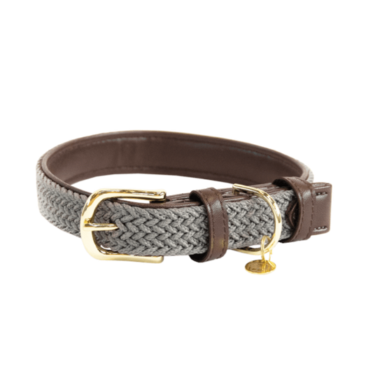 Plaited Nylon Dog Collar Kentucky