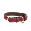 Plaited Nylon Dog Collar Kentucky
