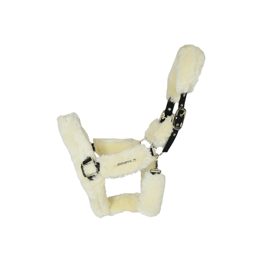 Sheepskin Shipping Halter Kentucky