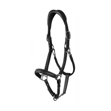 Soft Leather Head Collar Dyon