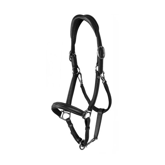 Soft Leather Head Collar Dyon