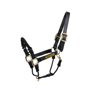 Control Halter Nylon Kentucky