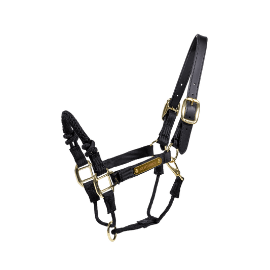 Control Halter Nylon Kentucky