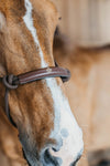 Training Rope Halter Brown Dyon