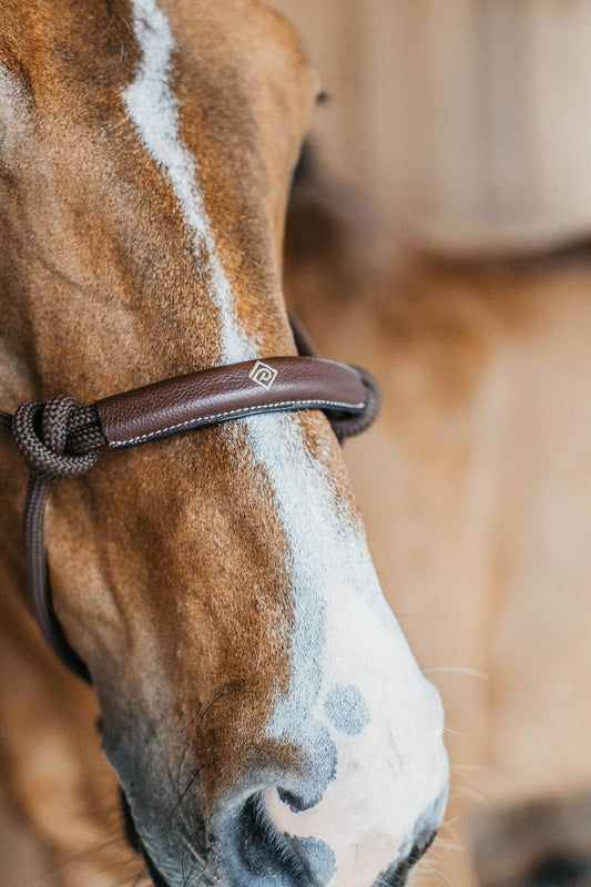 Training Rope Halter Brown Dyon