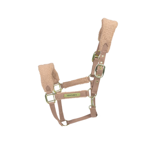 Halter Teddy Fleece Kentucky
