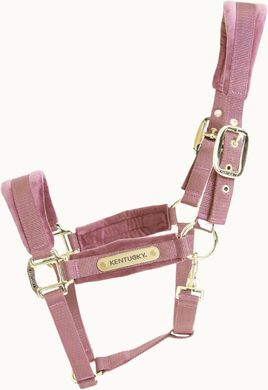 Velvet Halter Kentucky