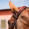 Anatomic French Noseband Horse Bridle with Fancy Stitching CWD