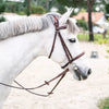 Anatomic French Noseband Horse Bridle with Fancy Stitching CWD