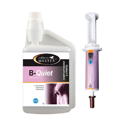 B-Quiet Calming Paste Horse Master