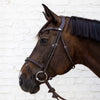 Flash Noseband Soft Leather Bridle Dyon