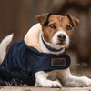 Dog Coat Original Kentucky