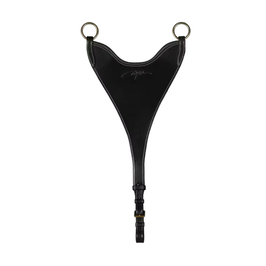 Hard Bib Martingale Attachment Dyon
