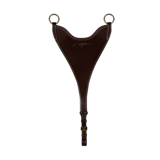 Hard Bib Martingale Attachment Dyon