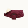 Dog Coat Original Kentucky