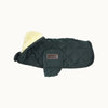 Dog Coat Original Kentucky