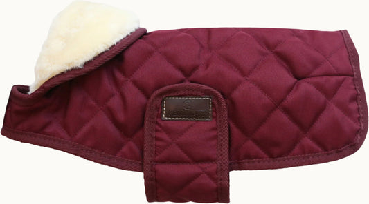 Dog Coat Original Kentucky