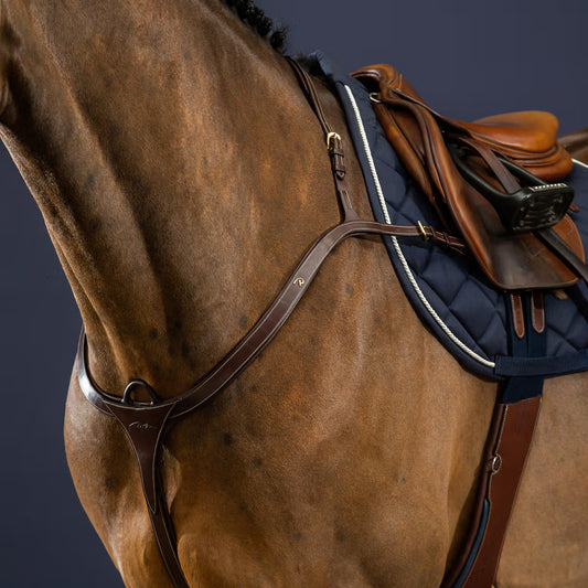 Long Bridge Breastplate Dyon