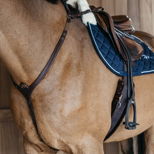 Plaited Bridge Breastplate Dyon