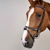 Plaited Training Bridle Dy’on
