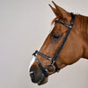 Plaited Training Bridle Dy’on