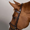 Plaited Training Bridle Dy’on