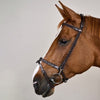 Plaited Training Bridle Dy’on
