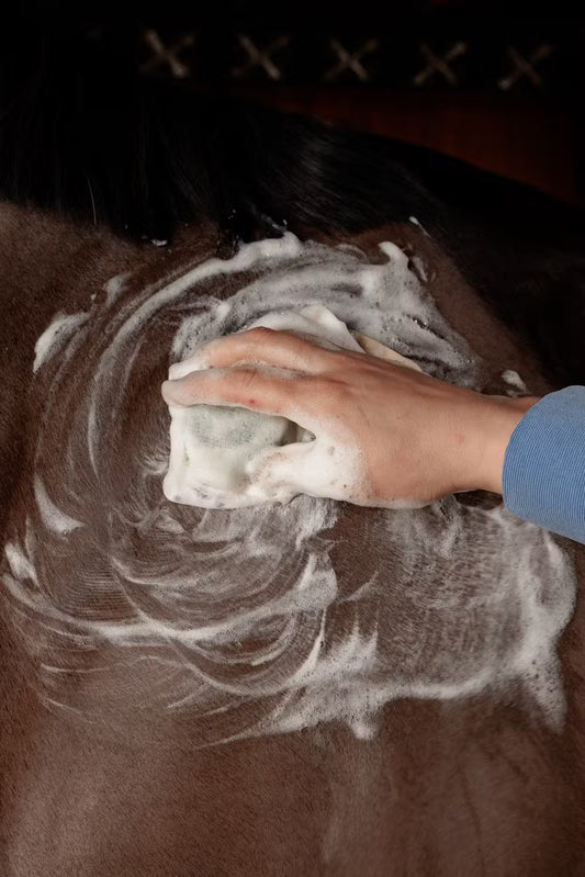 Shampoo Bar Grooming Deluxe
